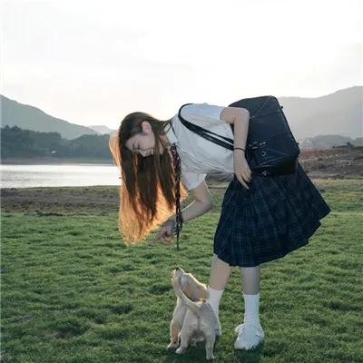 虞美人盛开的山坡