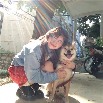 哈莉·奎茵第二季